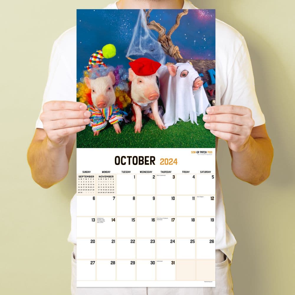 Playful Pigs 2024 Wall Calendar