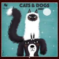 image Cats and Dogs 2027 Wall Calendar Main Product Image