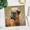 image Boxers 2027 Wall Calendar Fourth Alternate Image