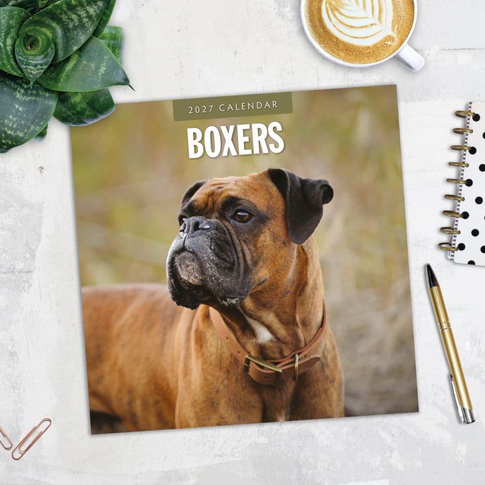 Boxers 2027 Wall Calendar Fourth Alternate Image