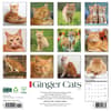 image Ginger Cats 2026 Wall Calendar First Alternate Image