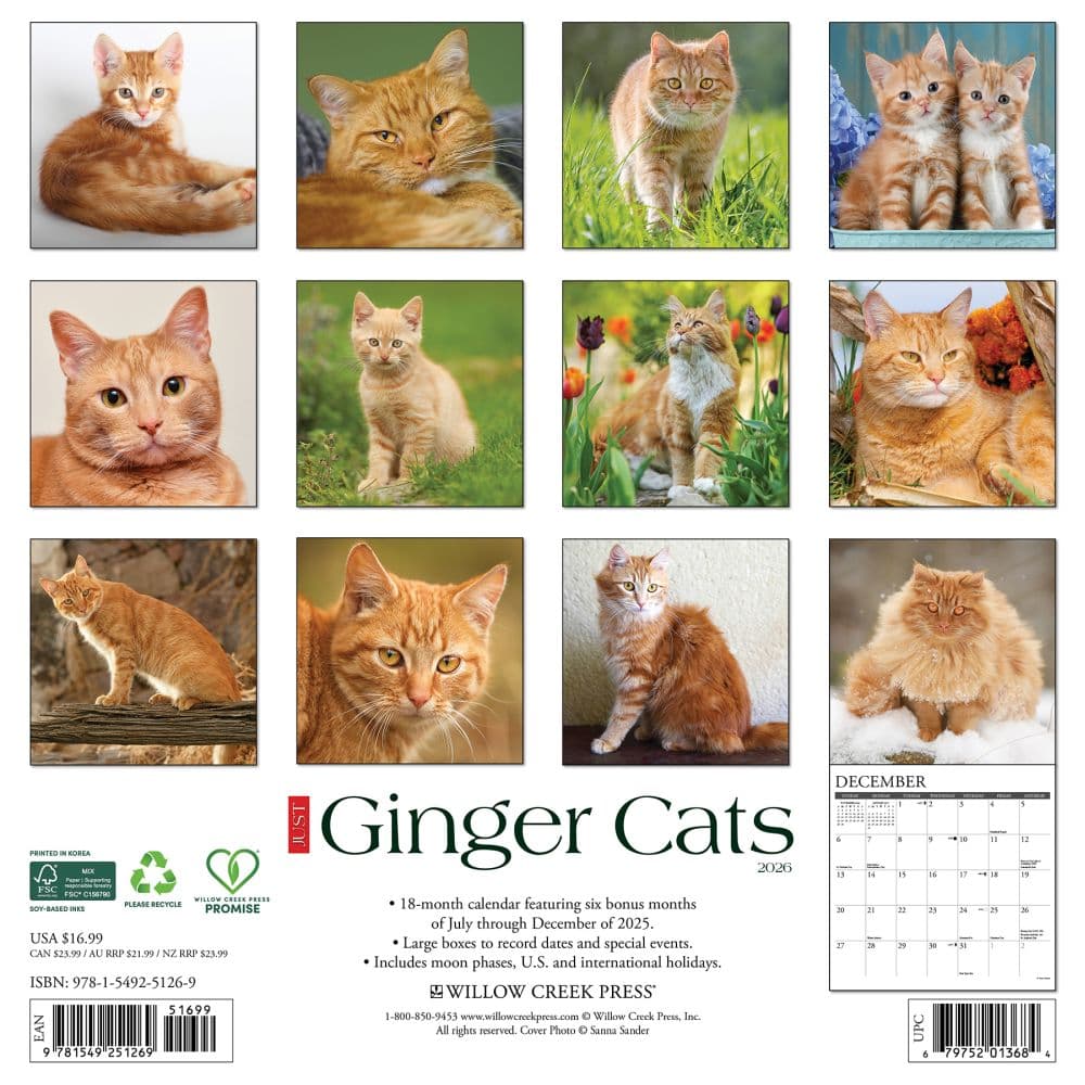 Ginger Cats 2026 Wall Calendar First Alternate Image