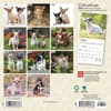 image Chihuahuas 2024 Mini Wall Calendar First Alternate Image width=&quot;1000&quot; height=&quot;1000&quot;