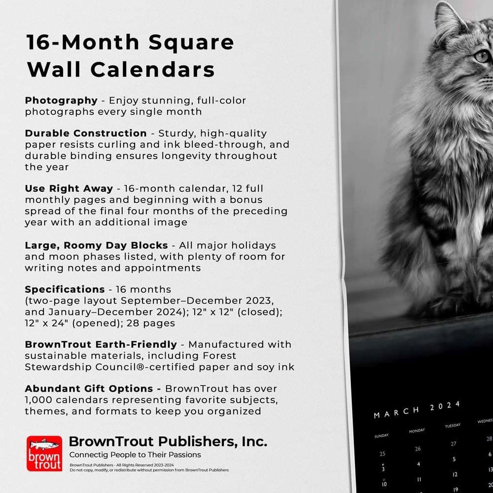 Cat Regal Portrait Series 2024 Wall Calendar Fourth Alternate Image width=&quot;1000&quot; height=&quot;1000&quot;