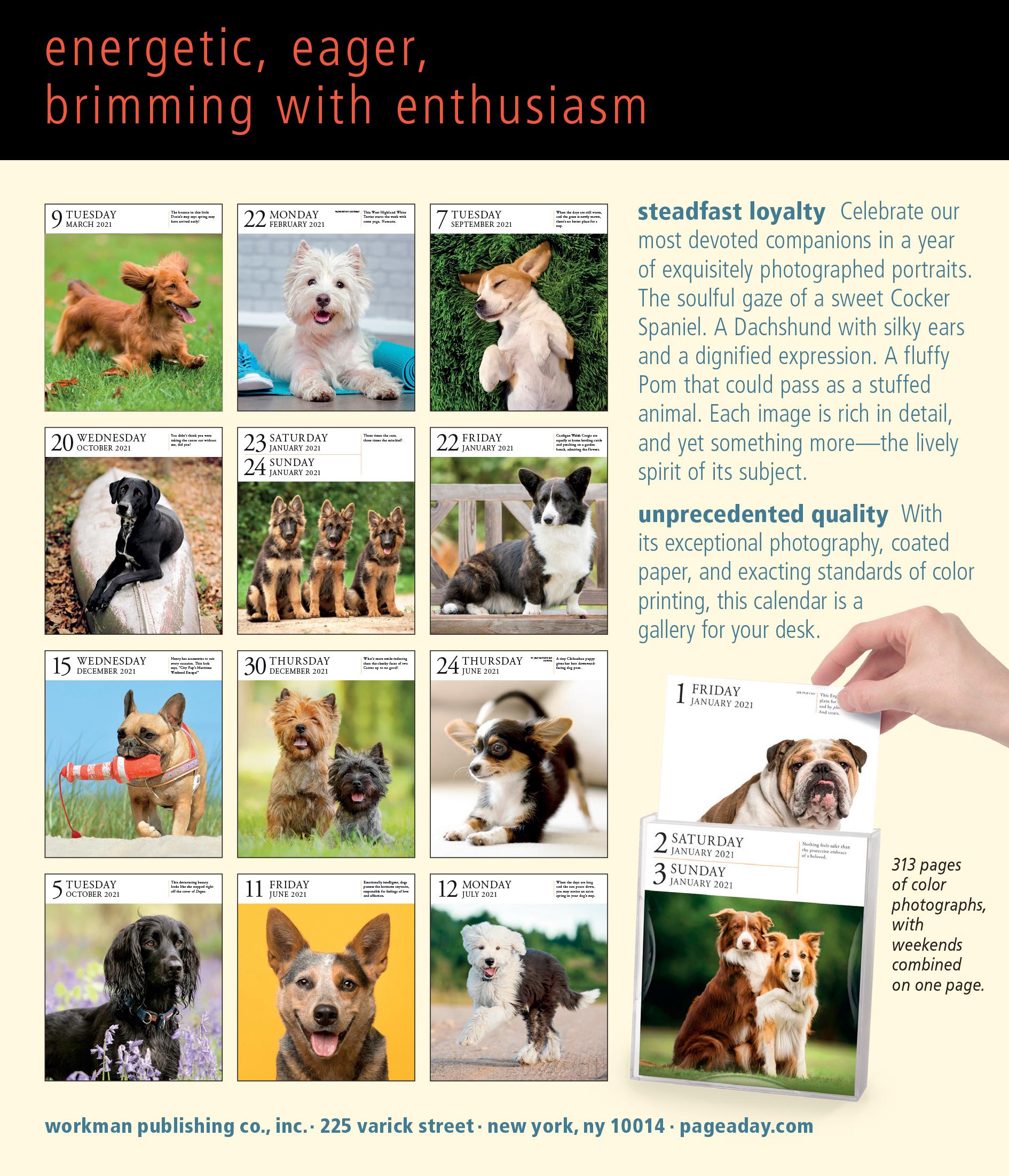 Details about   MINI CALENDAR DOGS 2020 Small desk Wall Monthly Calendar Dogs w/ Trap Tithe II 