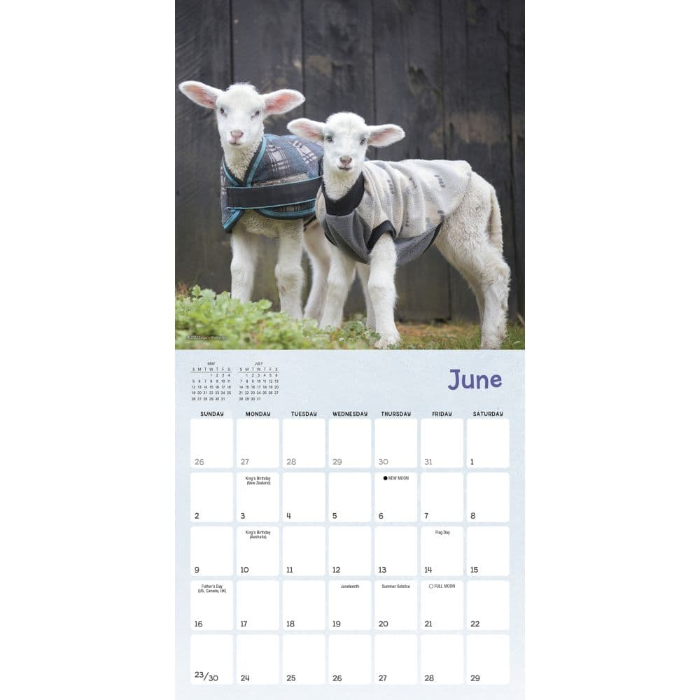 Lambies in Jammies 2024 Mini Wall Calendar Alternate Image 3