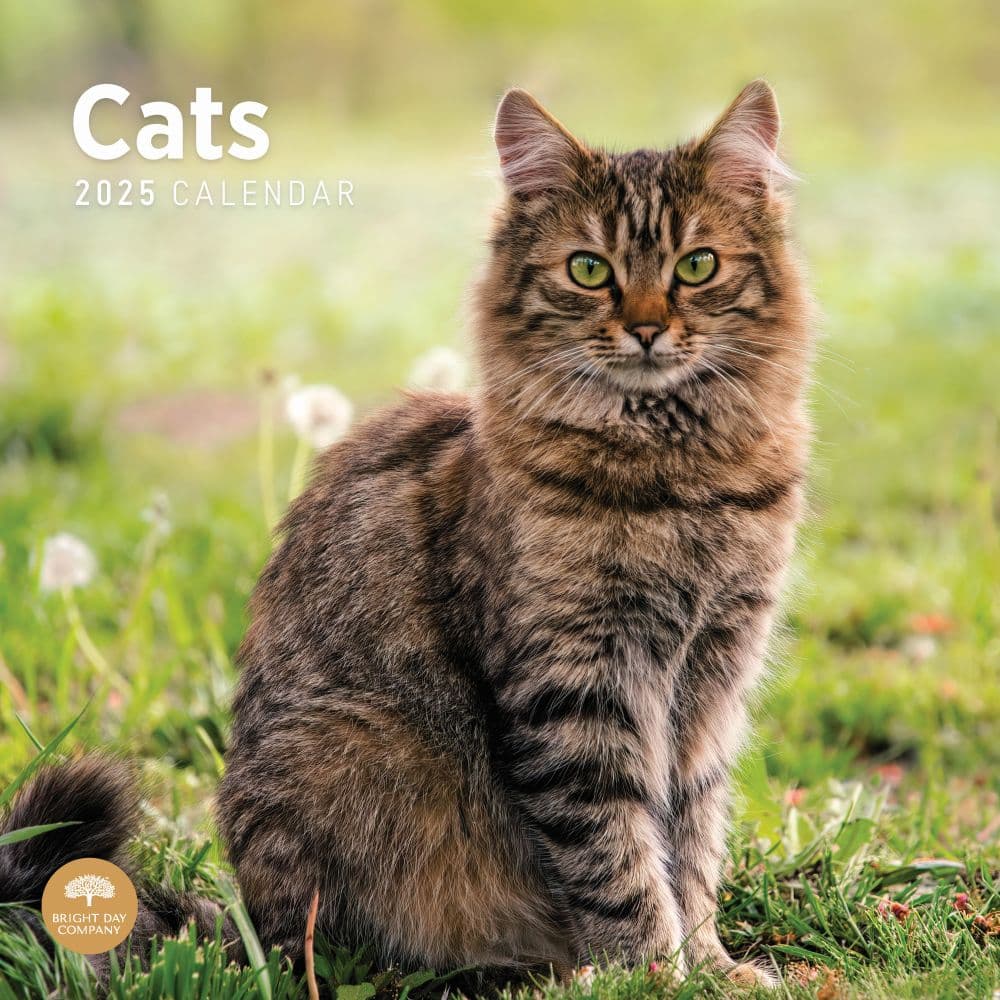 Cats 2025 Wall Calendar