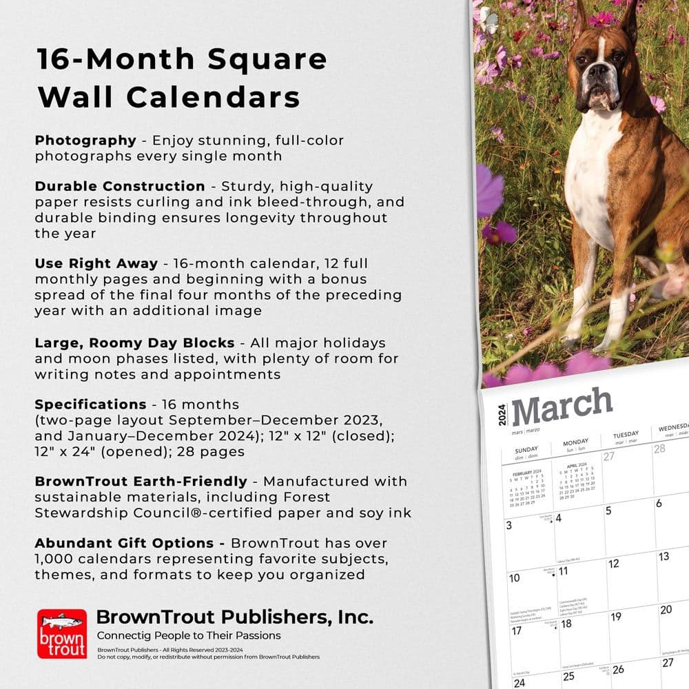 Boxers Wall 2024 Desk Calendar Fourth Alternate Image width=&quot;1000&quot; height=&quot;1000&quot;