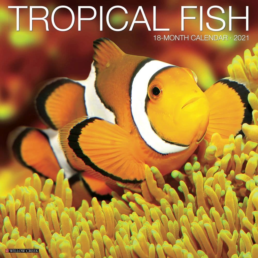 Tropical Fish Wall Calendar