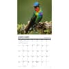 image Hummingbirds 2025 Wall Calendar