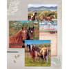 image Horses Special Edition 2024 Wall Calendar Fourth Alternate Image width=&quot;1000&quot; height=&quot;1000&quot;