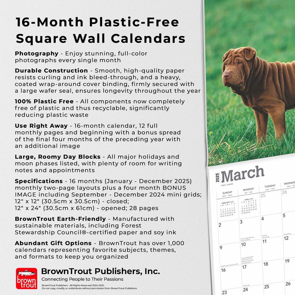 Shar-Pei 2025 Wall Calendar Fifth  Alternate Image