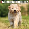 image Just Goldendoodles 2025 Wall Calendar Main Image