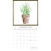 image Succulents 2024 Wall Calendar Second Alternate Image width=&quot;1000&quot; height=&quot;1000&quot;