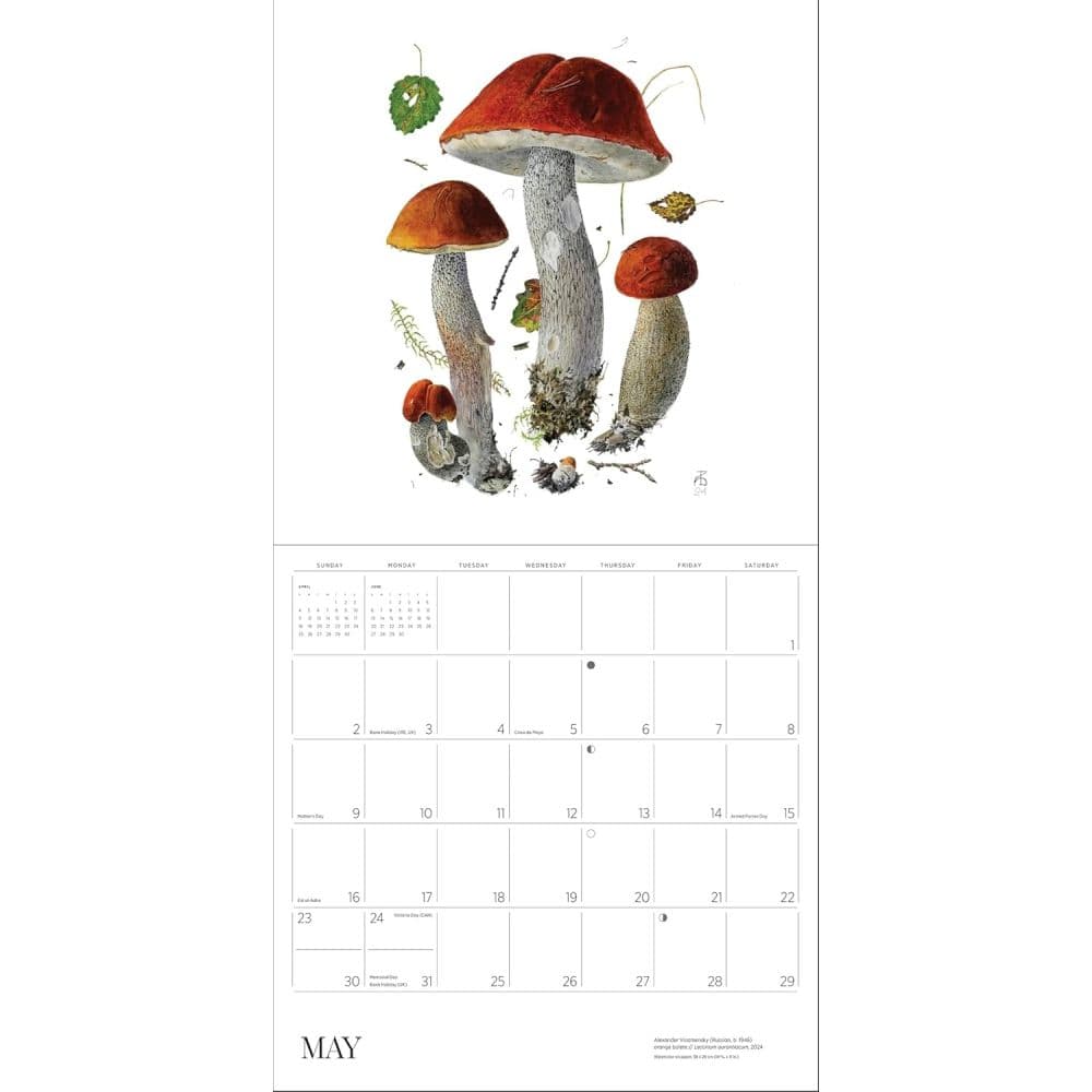 Mushrooms Viazmensky 2027 Wall Calendar Sixth Alternate Image