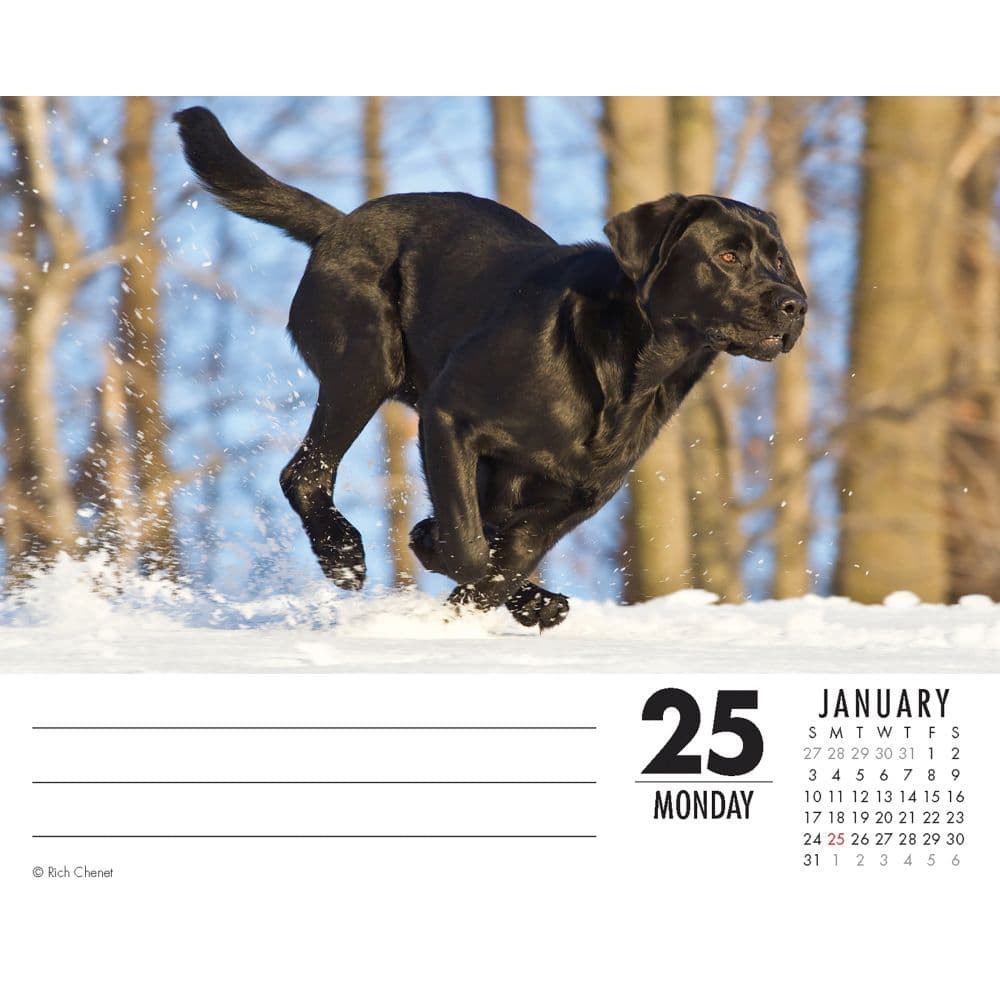 labs desk calendar calendarscom