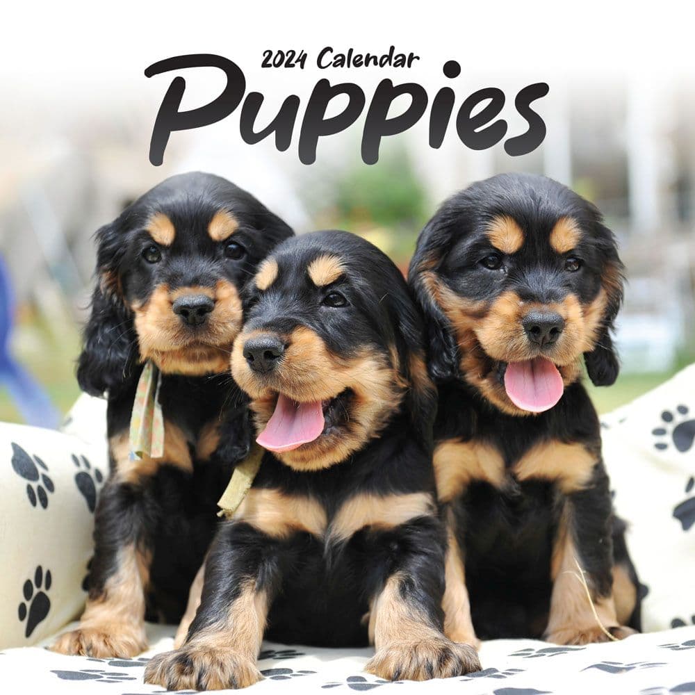 Puppies 2025 Wall Calendar