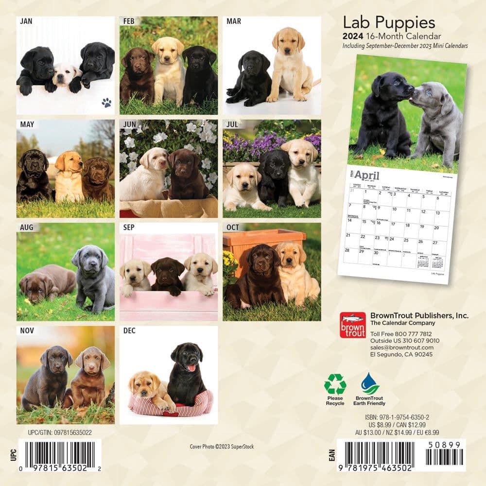 Lab Retriever Puppies 2024 Mini Wall Calendar First Alternate Image width=&quot;1000&quot; height=&quot;1000&quot;