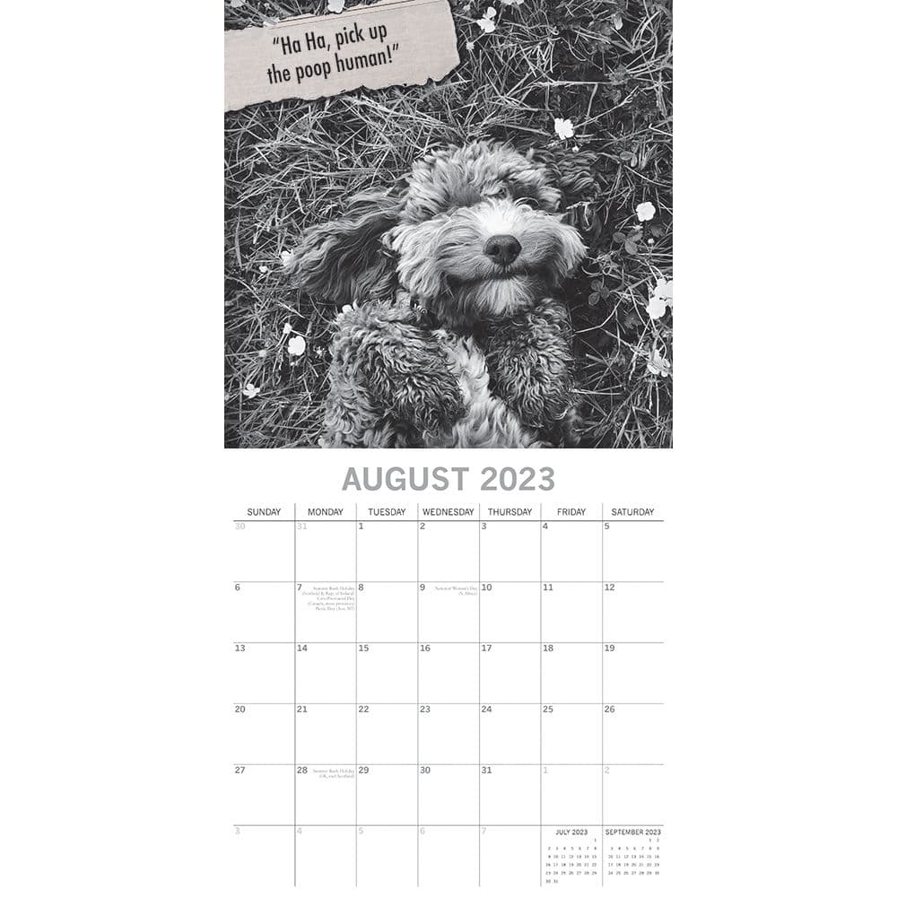 Mutts 2023 Wall Calendar - Calendars.com