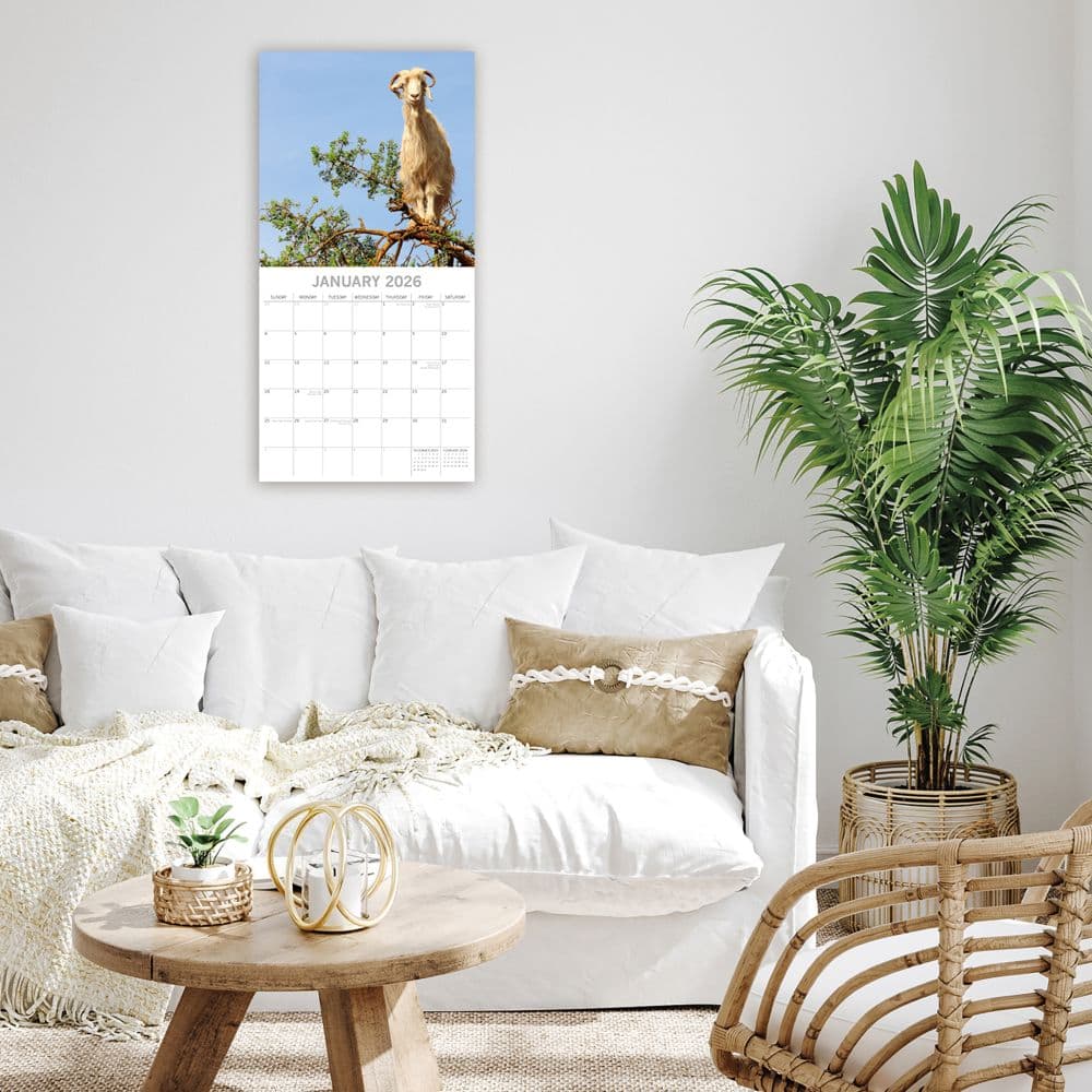 Goats in Trees 2026 Wall Calendar Second Alternate Image