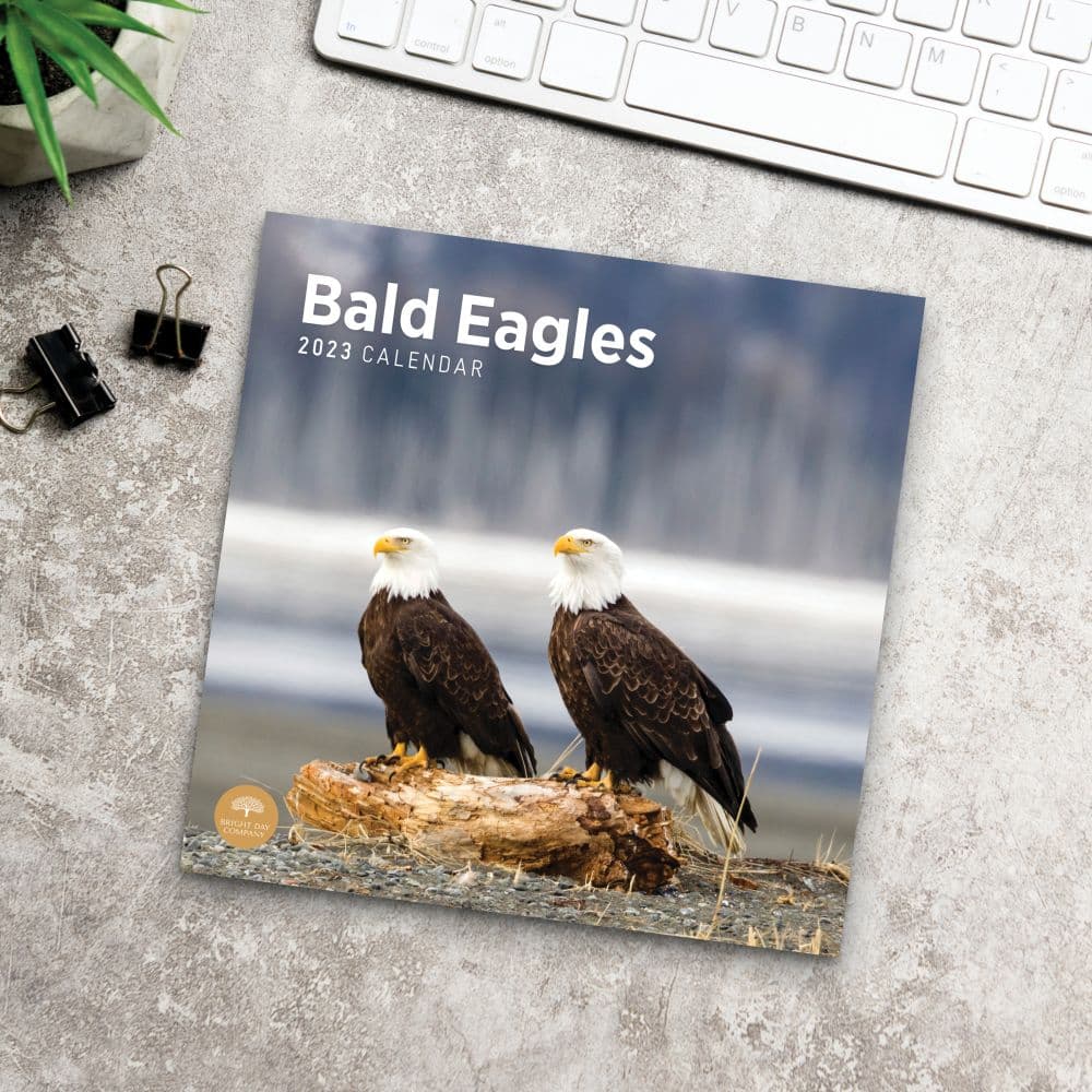 Bald-Eagles-2023-Wall-Calendar - Calendars.com