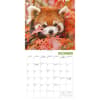 image Red Pandas 2026 Wall Calendar Fourth Alternate Image