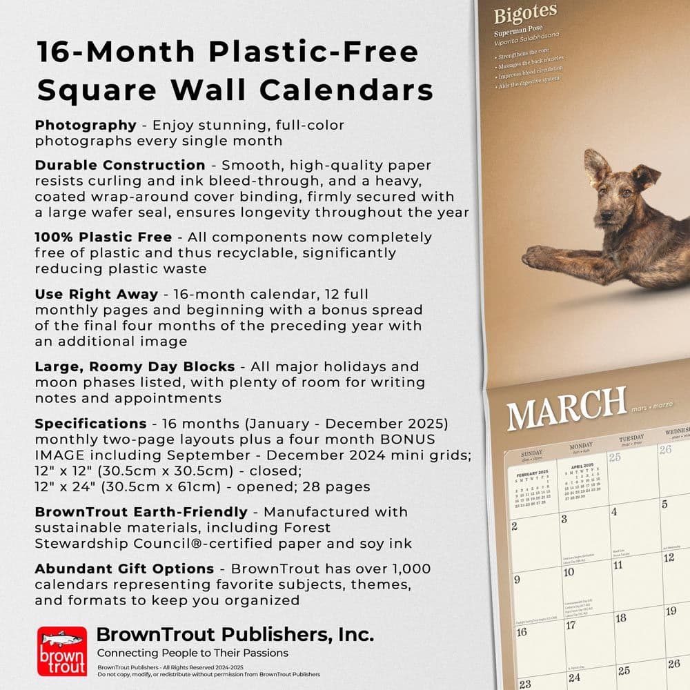Yoga Dogs 2025 Wall Calendar Fifth Alternate Image