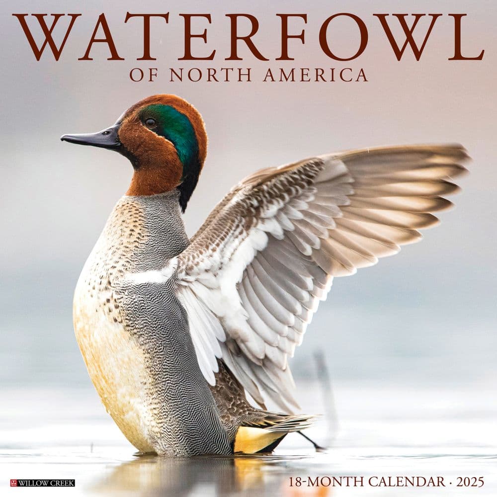Waterfowl 2025 Wall Calendar  Main Image