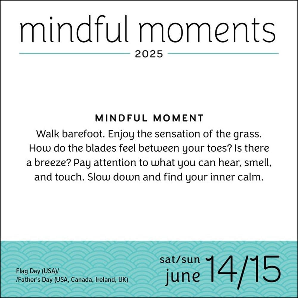 Mindful Moments 2025 Desk Calendar