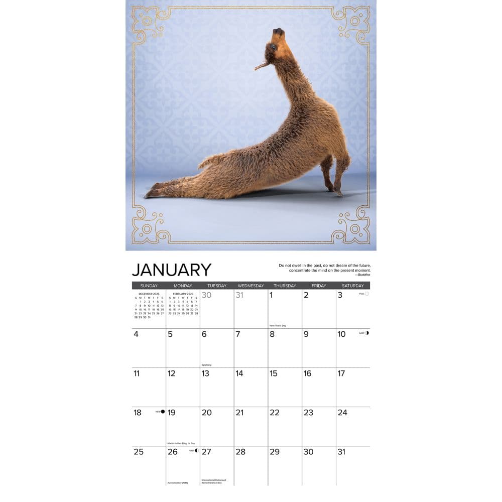 Llama Yoga 2026 Wall Calendar Second Alternate Image