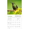 image Audubon Hummingbirds 2027 Mini Wall Calendar Fourth Alternate Image