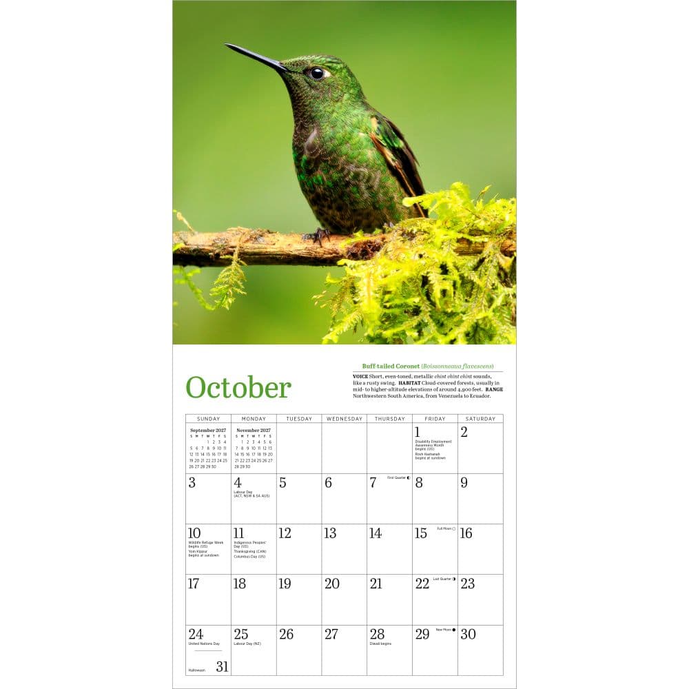Audubon Hummingbirds 2027 Mini Wall Calendar Fourth Alternate Image