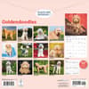 image Goldendoodles 2026 Wall Calendar First Alternate Image