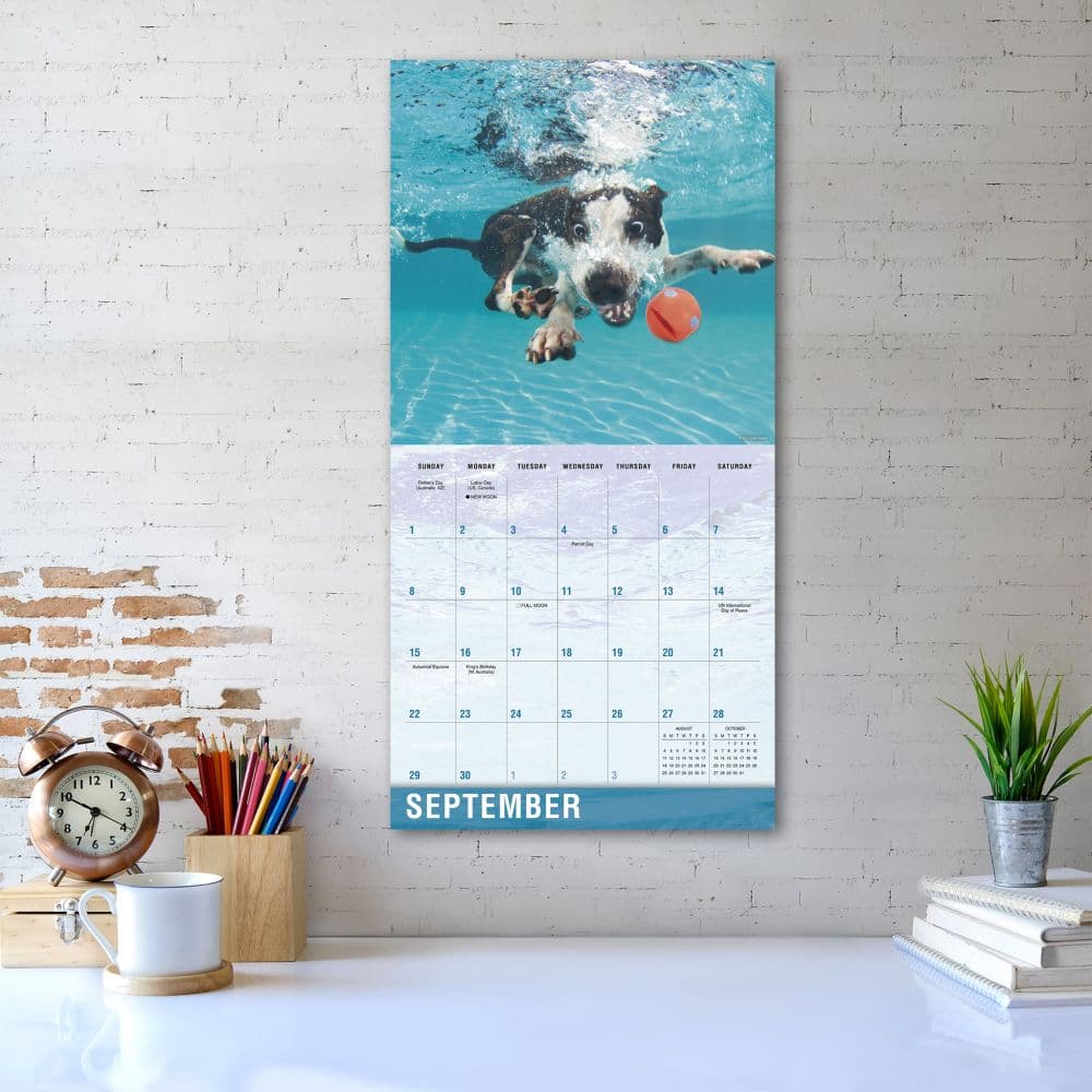 Underwater Dogs 2024 Wall Calendar Alternate Image 5