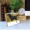 image Just Labs 2026 Desk Calendar Second Alternate Image