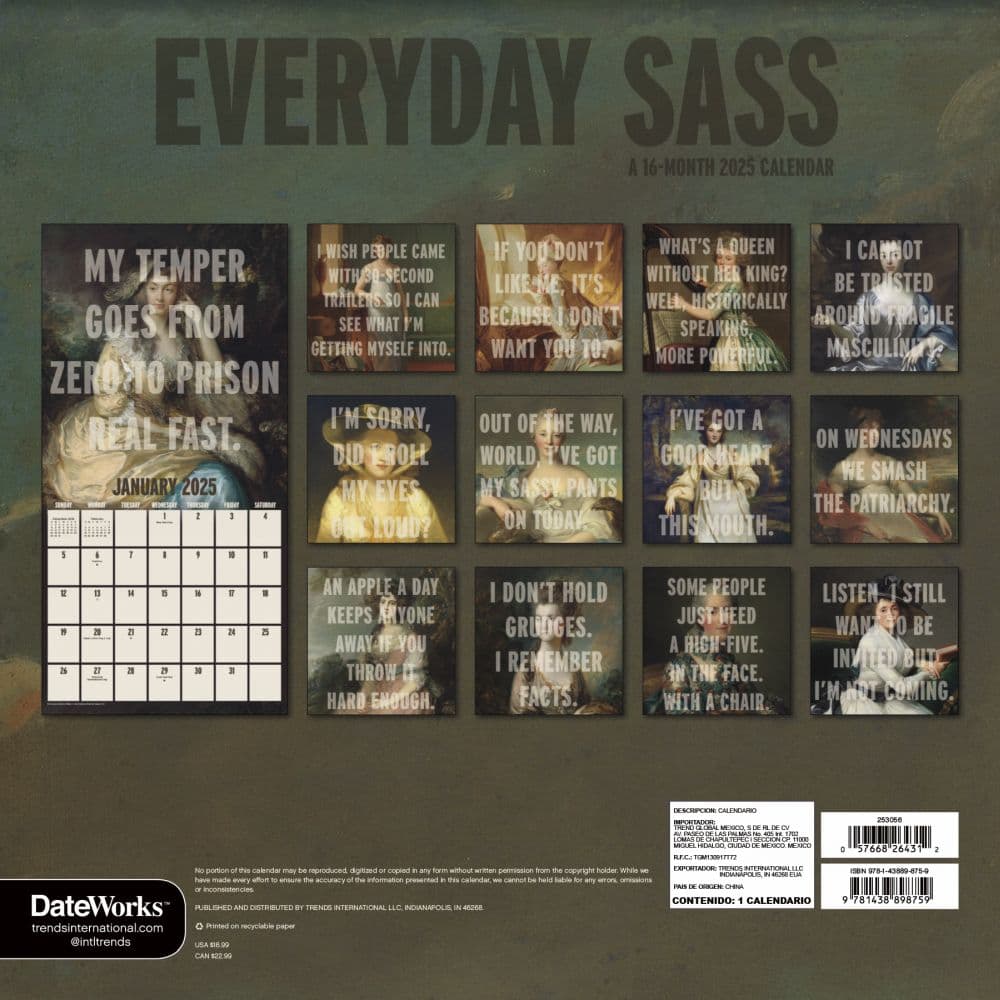 Everyday Sassy 2025 Wall Calendar Alt1