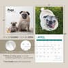 image Pugs 2025 Wall Calendar Seventh Alternate Image