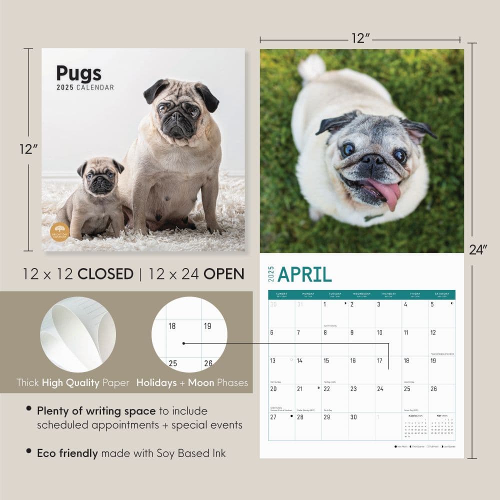 Pugs 2025 Wall Calendar Seventh Alternate Image