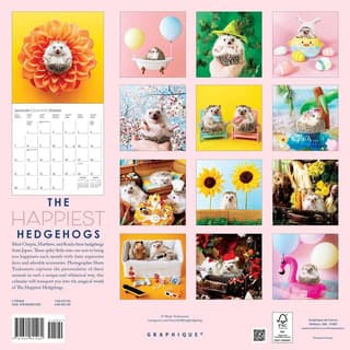 Happiest Hedgehogs 2024 Wall Calendar - Calendars.com