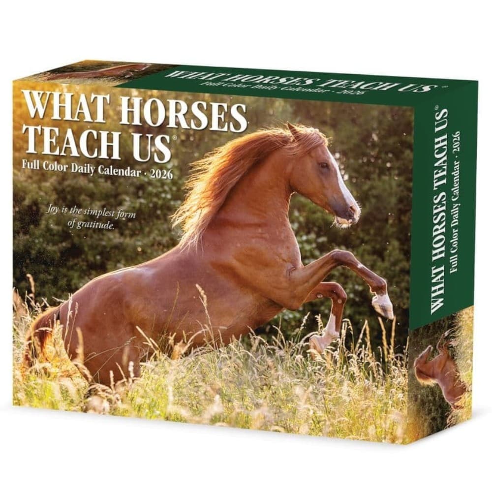 What Horses Teach Us 2026 Desk Calendar Main Product Image