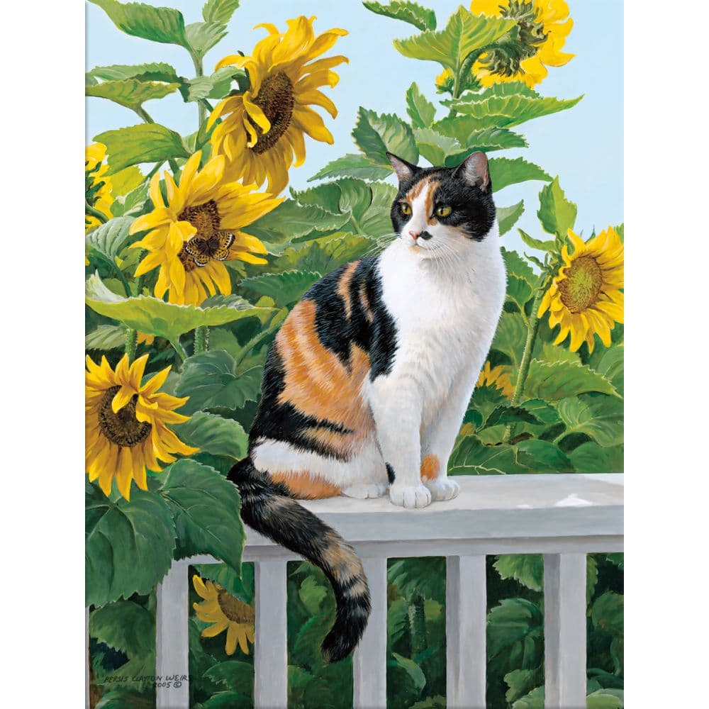 Sunflower Sanctuary Boxed Note Cards First Alternate Image