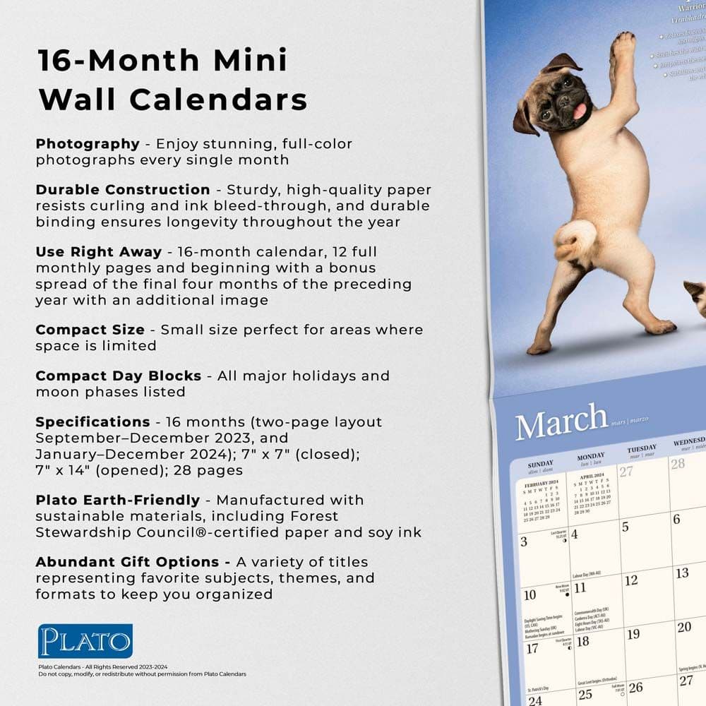 Yoga Puppies &amp; Kittens 2024 Mini Wall Calendar Fourth Alternate Image width=&quot;1000&quot; height=&quot;1000&quot;