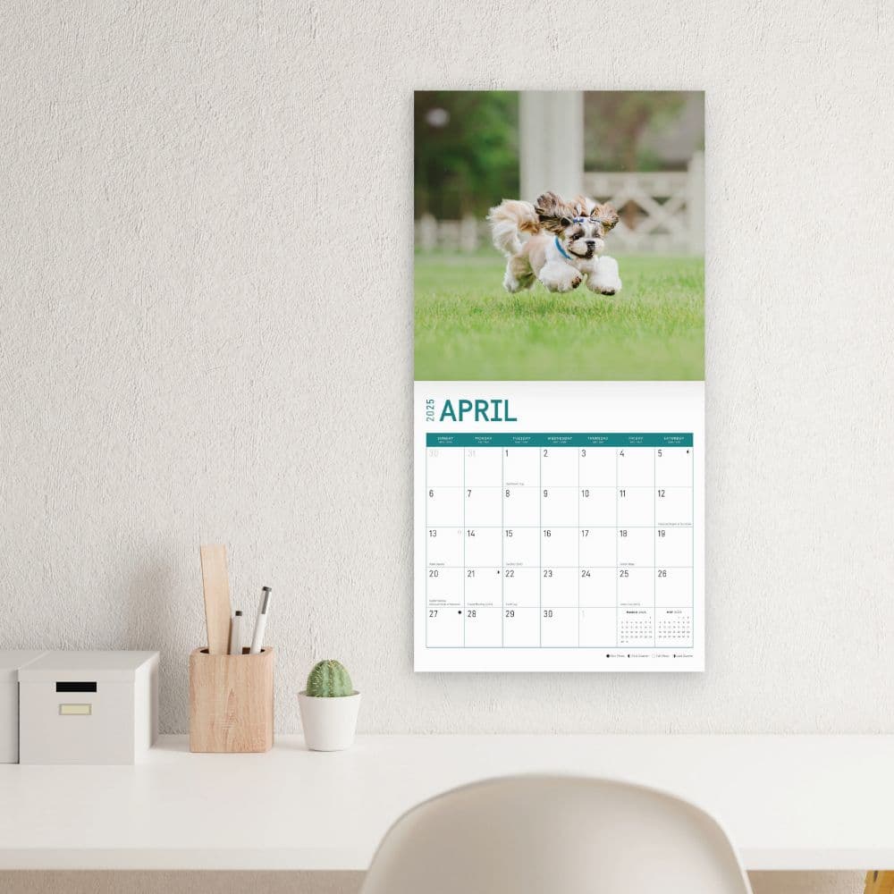 Shih Tzu 2025 Wall Calendar Fifth Alternate Image