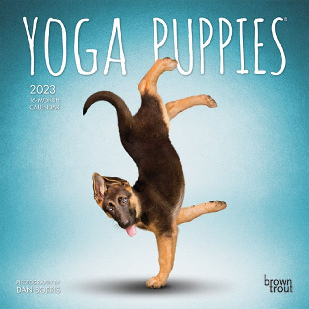Yoga Puppies 2021 Mini Wall Calendar 