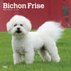 image Bichon Frise 2025 Wall Calendar Main Product Image width=&quot;1000&quot; height=&quot;1000&quot;