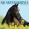 image American Quarter Horses 2025 Wall Calendar Main Product Image width=&quot;1000&quot; height=&quot;1000&quot;
