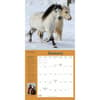 image How to Think Like a Horse 2025 Wall Calendar First Alternate Image width="1000" height="1000"