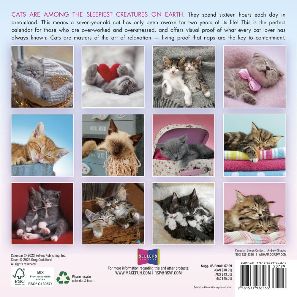 Cat Naps 2024 Mini Wall Calendar