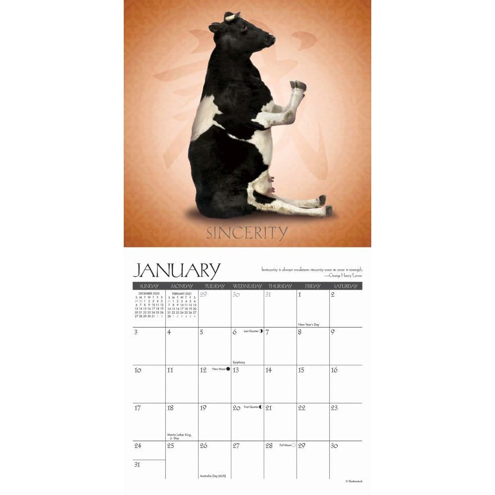 Cow Yoga Mini Wall Calendar