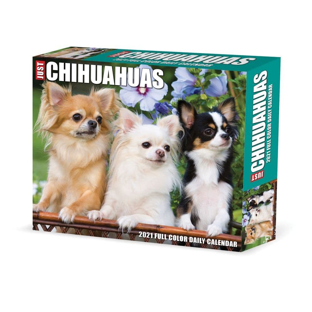 Chihuahuas Desk Calendar